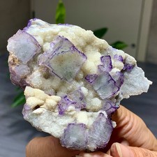 225G Natural Purple 