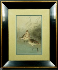 Vintage Japanese Woodblock Print “Snipe and Reeds” By Ohara Shōson (Koson) picture