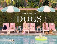 Gray Malin: Dogs: Photographs picture
