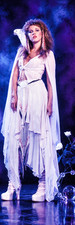 GIANT 2’X6’ VINYL BANNER - STEVIE NICKS FLEETWOOD MAC picture