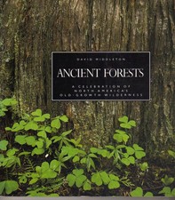 Ancient Forests picture