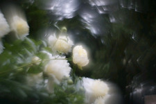 Petzval Modification Helios 44M f/2 Lens Dreamy Swirly Bokeh EF MOUNT  picture