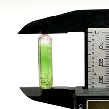 Natural Bi-Color Green Pink Watermelon Tourmaline Crystal Specimen 32.7mm  picture