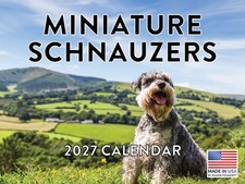 Miniature Schnauzer Calendar 2027 Monthly Wall Calender 12 Month Dog Breed picture