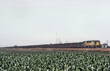 C&NW SD50 7022 near Kearney, NB on July 4, 1991 8.5 x 11 Photo picture