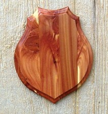 Solid Cedar Antler Mount Plaque picture