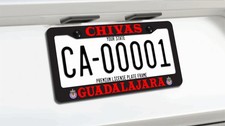 License Frame Stainless Steel Vinyl Letters/Logos for Chivas del Guadalajara picture