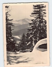 Postcard Winterwald picture