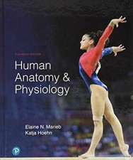Human Anatomy & Physiology - Hardcover, by Marieb Elaine; Hoehn - Very Good picture