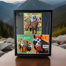 THE GREAT SECRETARIAT , TIME MAGAZINE, SPORTS ILLUSTRATED, AND NEWSWEEK COVERS picture