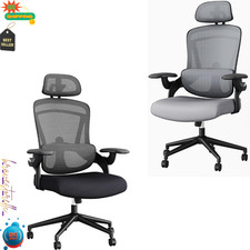 DUMOS Executive Home Office Chair, Ergonomic Computer Desk Chair, Mesh picture