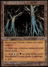 MTG Skyshroud Forest, Tempest, Heavily Played, English picture