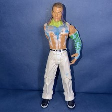 WWE TNA Wrestling Jakks Pacific Legends of the Ring Jeff Hardy Figure READ picture