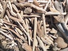 250+ Small Driftwood Pieces: 4-8