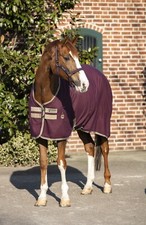 Horseware Amigo Horse Stable Sheet (No Fill) Fig / Navy & Tan Choose Size New picture