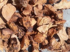 Chaney Root 1lb picture