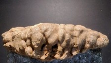 16lb Phosphorescent Flowstone 