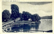 HOLMES New York - A Road Along Whaley Lake Antique Early 1900s Postcard picture