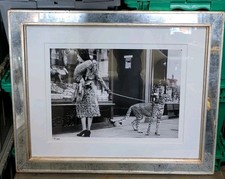 Trowbridge Gallery Black and White Archive - Cheetah Who Shops , Framed Print picture