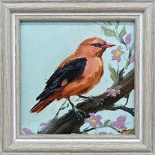 Orange Bird on Branch Original Oil Painting 4x4 Framed Signed Songbird Art Gift picture