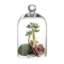 KMwares Clear Glass Display Dome Cloche Bell Jar Tabletop Decorative Case picture