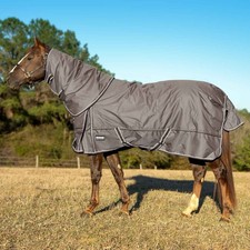 Horse Sheet Jeffers Poplar Head 