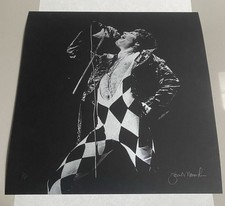 Janet Macoska Freddie Mercury Queen Photograph Signed Limited Edition X/45 picture