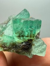 62 CT Wow Top Quality Well Terminated Lustrous Crystal Emerald Bunch From PAK. picture