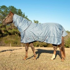 Horse Sheet Jeffers Poplar Head 