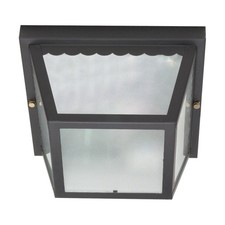 NUVO 60-473 -  2 Light 10