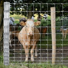 Galvanized Farm Fence 164ft 328ft Roll 14 Gauge Wire Mesh for Goats Deer Cattle picture
