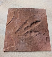 Vintage 1996 Theropod Dinosaur Footprint Replica Cast Kayenta Formation Utah  picture