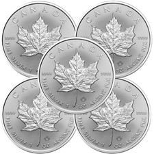 Lot of 5 - 2026 1 oz Canada 9999 Fine Silver Maple Leaf $5 Coin BU picture