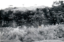 Okinawa 1953 Traditional Okinawan Hillside Tomb Overgown Brush White Panel Door picture