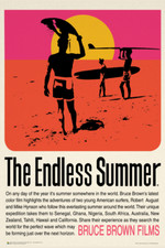 The Endless Summer Retro Movie Poster 24x36 picture