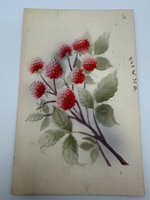 1909 Embossed Raspberry Postcard Made in Germany St. Louis Postmark Vintage picture