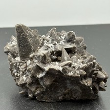 Chocolate Dogtooth Calcite Crystal Cluster Specimen picture