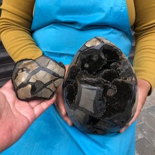 14.08LB Large Natural Beautiful Turtle Back Hole Quartz Crystal Egg Healing picture