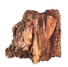 Big ~24 lb Chunk Reddish Petrified Wood 9 x 9 x 9