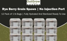 12-Pack Sterilized Rye Berry Grain Spawn – 1 lb Bags (No Injection Ports) picture