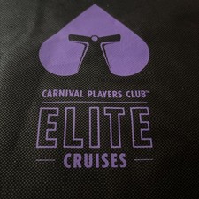 Carnival Cruise Line Elite Players Large Back Pack With Drawstring Bag  New picture