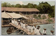 Paraguay Orange Loading to Vessels Postcard Woman's Foreign Missionary Society picture