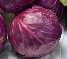 Red Acre Cabbage Seeds, Coleslaw, NON-GMO, Variety Sizes, picture