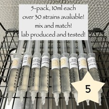Mushroom liquid culture syringe 5-pack, mix&match picture