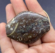 Beautiful Old Natural Jasper Stone Red Color Bactrian Era Beads picture