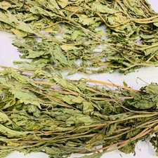 WHOLESALE Dried Epazote Leaves Hojas de Epazote Bulk Leaves  picture
