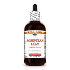 Egyptian Lily (Nymphaea Caerulea) Dried Root Liquid Herbal Extract picture