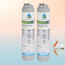 2-Pack Manitowoc K00537(K00493) Water Filter Cartridge  AR-10000P – 15K Gal, OEM picture