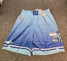 Charlotte Hornets mens Large jordan Basketball shorts new Lined picture