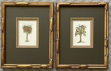Vintage Tropical Botanical Prints Set of 2 Bamboo Frames Palm & Banana Wall Art picture